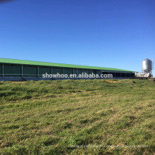 Maison de poulet préfabriquée pour poulets à griller, élevage de poulets et élevages de vache